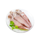Fresh Juicy Squid