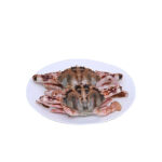 Fresh Juicy Crab